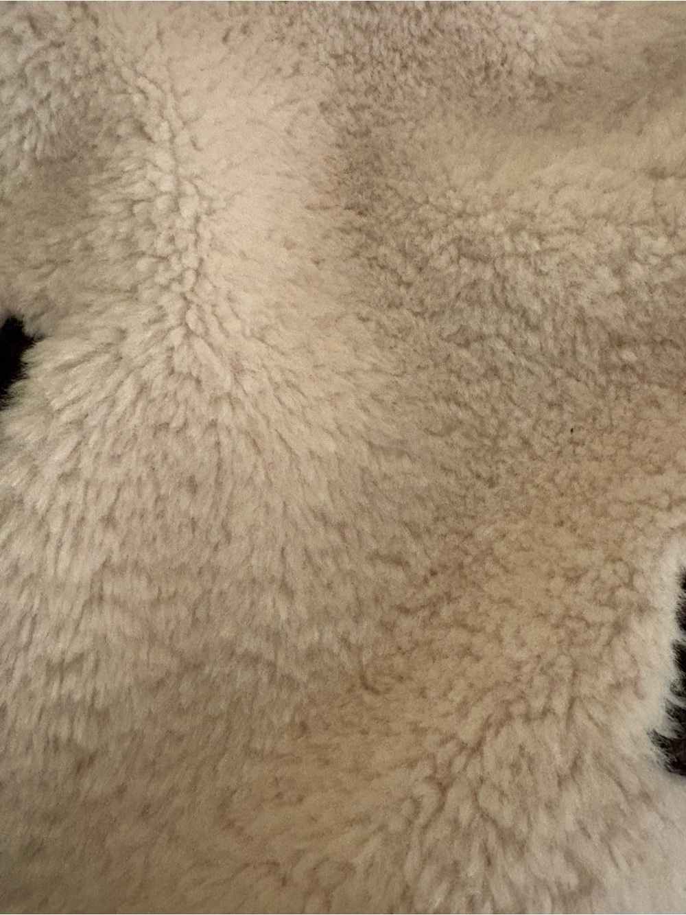 Commense Cream Teddy Jacket with Dark Brown Trim - Picture 4 of 5